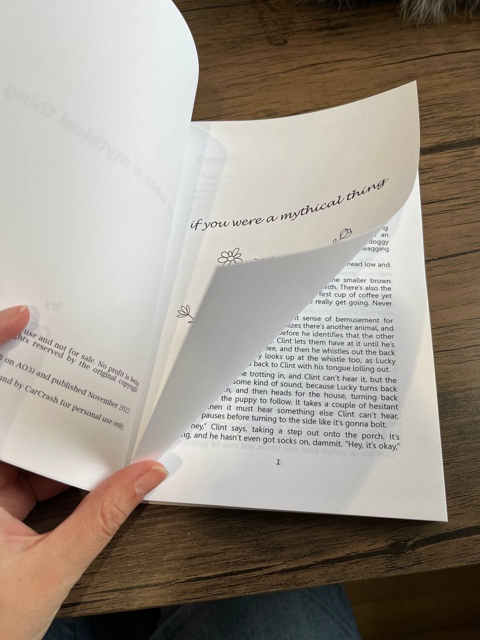 2022 - CarCrash - Image 3